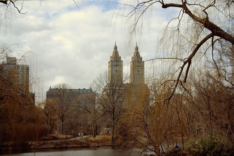 [DSC_0270 copy 2[11].jpg]