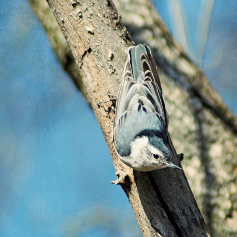 [DSC_0698 copy 2[6].jpg]