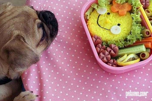 [food_art_40[4].jpg]