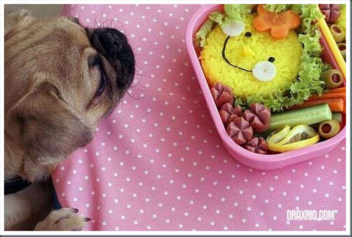 food_art_40
