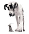 Small, but brave - He's not too smart - but brave enough.
