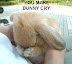 You monster! - You make bunny cry.