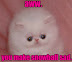 Aaw - You make snowball sad.