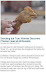 Yammie - Woman discovers chicken head at McDonald's.