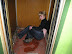 So very drunk - Hey - can I get a little privacy in this elevator?!
