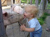 Lick - Mmm... Pork...
