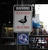 Warning - Feed a pigeon - loose a finger.