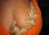 Kittah - New Firefox web browser logo.