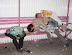 Me and my friends - We had a great party.