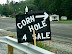 Corn hole for sale - Not thanks. I'm happy with my own.