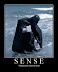 Sense - This picture makes none.
