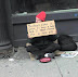 Give him some spare change - Britney's sister is going to have a baby and I need money for a nice gift.