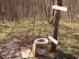 Summer camp toilet - For those urgent needs.