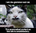 I am the grammar nazi cat - The grammatical content on this site is unsatisfactory.