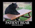 Patient bear - Will be ready when you are.