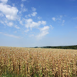 dalešice