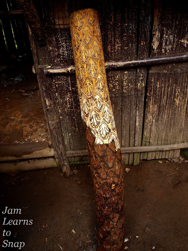 batik tree, indonesia, bandung, volcano, tangkuban perahu, travel, photography