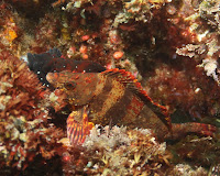 IMG_5507.JPG