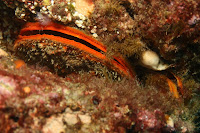 IMG_5560.JPG