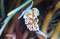 IMG_8180.jpg