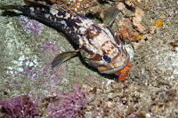 IMG_8052.jpg