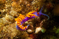 anacapaJuly2010-6.jpg