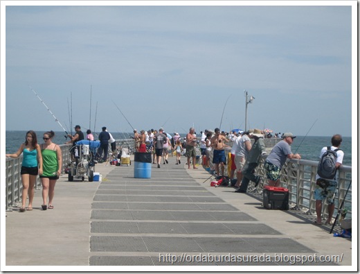 IMG_0016 IMG_0016