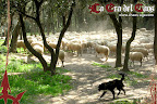[09/04/05] 1a Ronda
