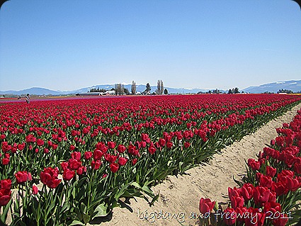 IMG_5714 IMG_5714