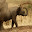 safari_3045.JPG