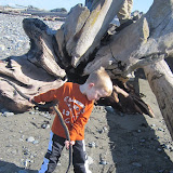 IMG_1646.JPG