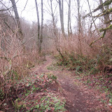 IMG_1335.JPG