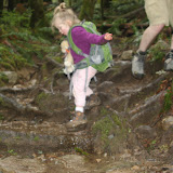 IMG_1962.JPG