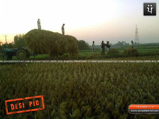 Desi Wallpaper Punjabi girls wallpaper punjabi. Desi Wallpaper Punjabi