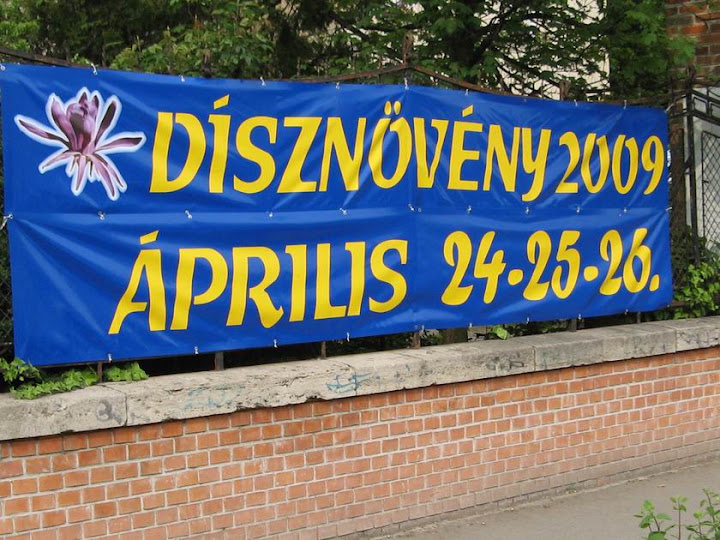 Kép