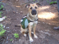 20090815_092431.JPG Photo