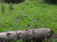 20090815_102722.JPG