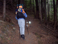 20091009_134702.JPG Photo