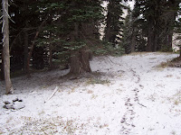 20091010_112209.JPG