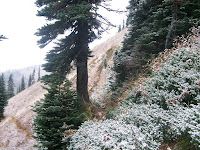 20091010_115907.JPG