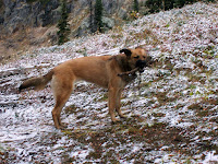 20091010_141442.JPG