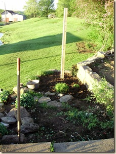 May2010 006