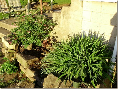 May2010 008
