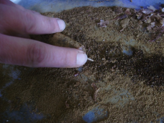 [April20101522.jpg]