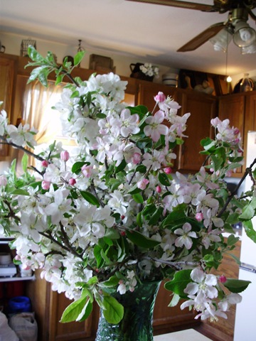 [April20104432.jpg]