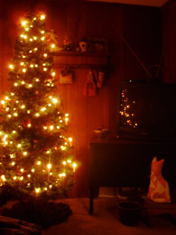 [Nov2009 108[2].jpg]