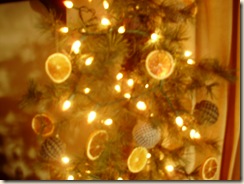 Dec2009 045