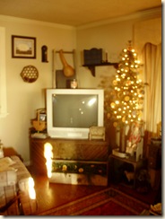 Dec2009 047