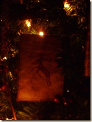 Dec2009 061