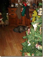 Dec2009 066